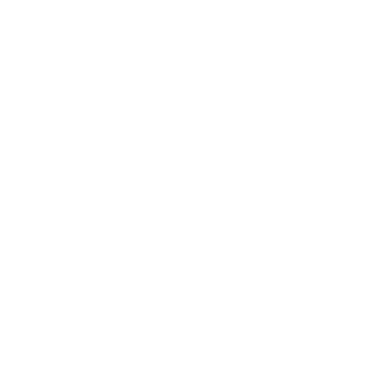 Lichtbild Logo